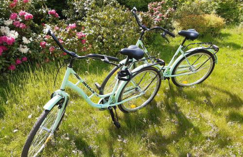 EKO - Domek jezioro Steszewko - Foto 5