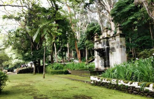 Serreta Island Home - Photo 4