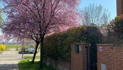 SUITE TRAVEL HOME - Foto 5