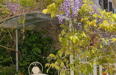 Il Glicine - Monolocale a due passi dal centro - Foto 11