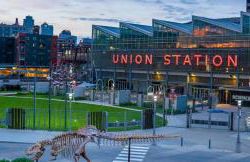 Newly Renovated! Beautiful home with game room. - Foto 3