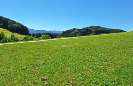 Ferienwohnung Landliebe - Foto 31
