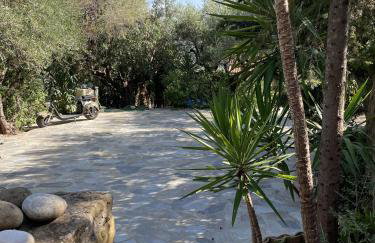 Divas Gartenhaus - Foto 14