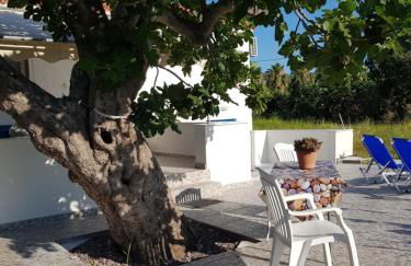 Eleni B&B - Photo 16