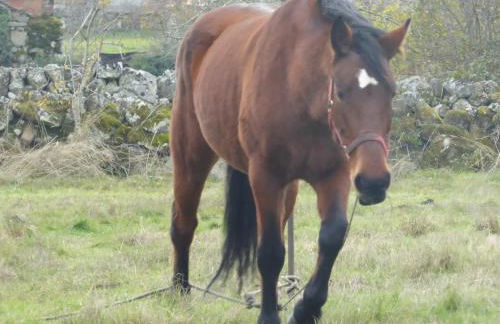 Quinchoso dos Bentos - Foto 68