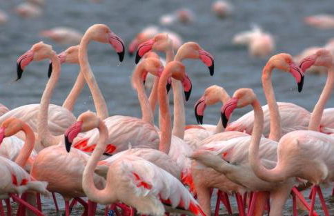 Cortina 2-24 - Foto 25