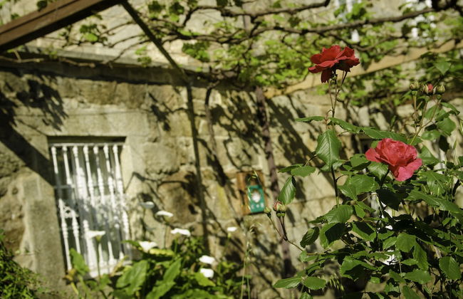 Casa de Turismo Rural Os Petroglifos - Photo 43