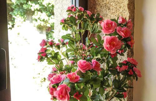 Casa d'Amares - Foto 68