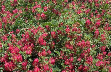 Casa Al Fianco - Brand new house with a breathtaking view - Foto 6