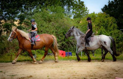 Staberhuk Baben - großer sonniger Balkon - XL Wohnung - Foto 24