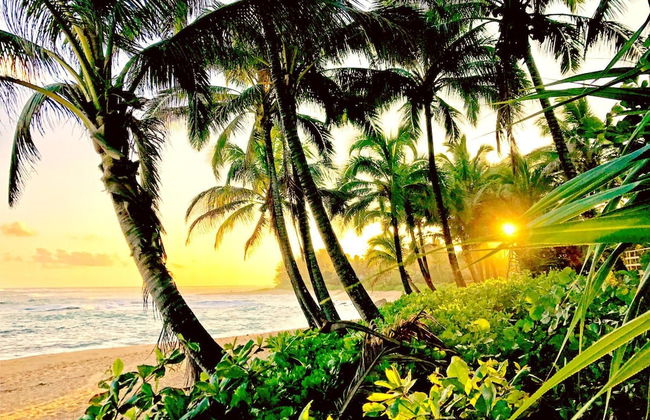 Islands at Mauna Lani IML-E4 by KBM - Foto 40