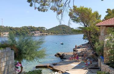 Studio apartment Dragana - Foto 22