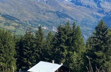 La Plagne, Montchavin, les Coches - Foto 11