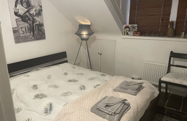 Entire Artistic Open-plan Top Floor Apartment - Foto 4