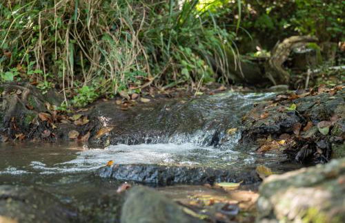 IL Mulino, hotel, farm villa, nature, swimming pool, Vitorchiano - Foto 19