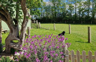 Couples Retreat in Beautiful West Devon Countryside - Foto 27