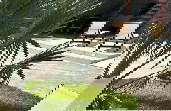 Solaris Serrambi Flats - Photo 59