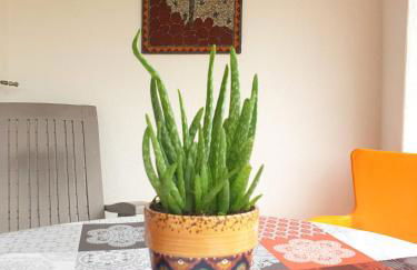 Sondela Self Catering - Foto 17