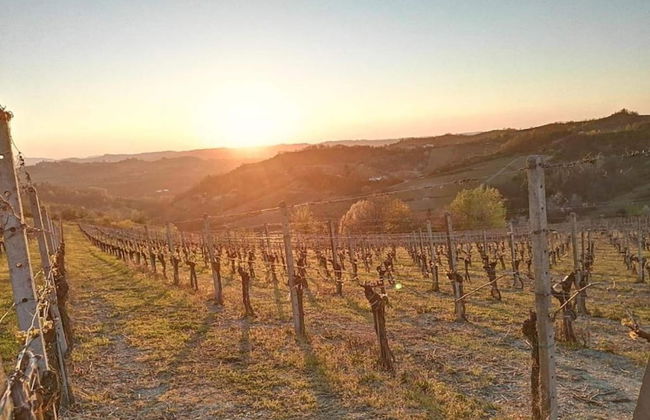 Guest House in Monferrato With Wine Tasting - Foto 39