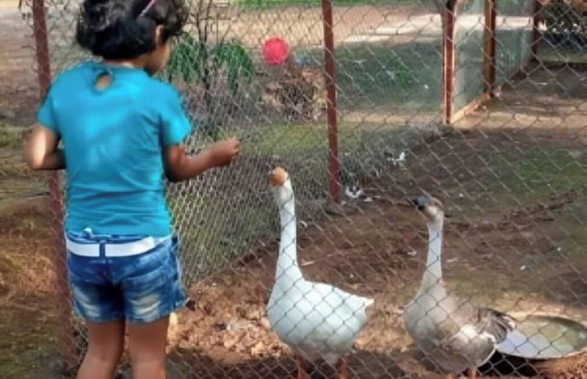 Bimal Farm Home Stay - Foto 46