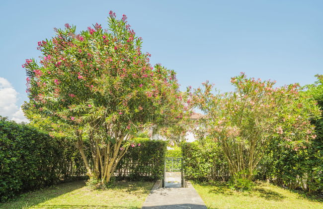 Lucerna Due - Foto 33