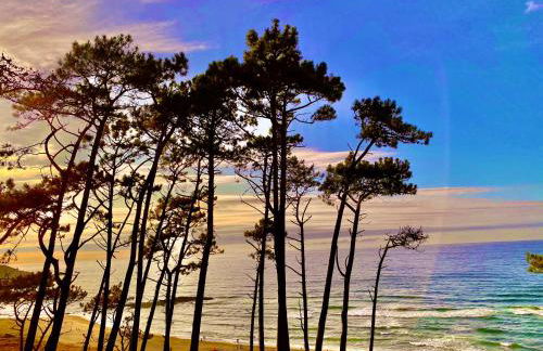 Casa Rural As Bodegas - Villa Rustica Asturias - Boal - Photo 45