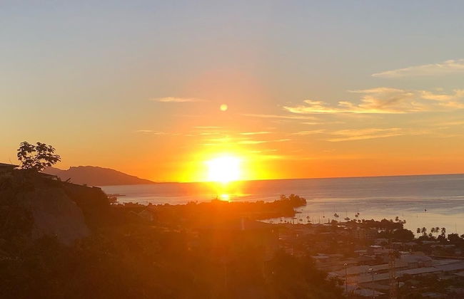 Bounty Lodge - Photo 80