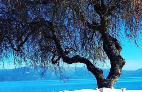 Eratous Seaside House - Foto 43