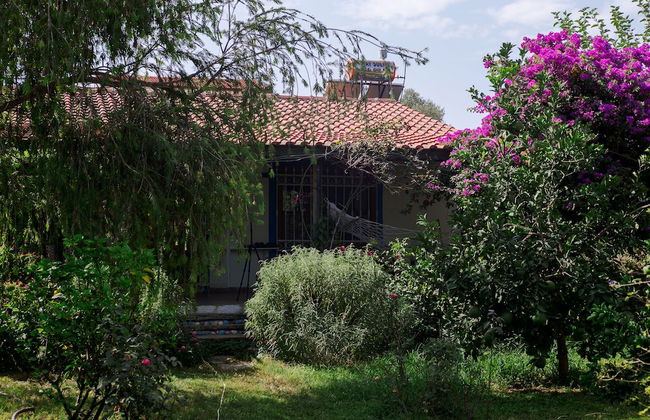 Masal Evimiz Antalya - Photo 68