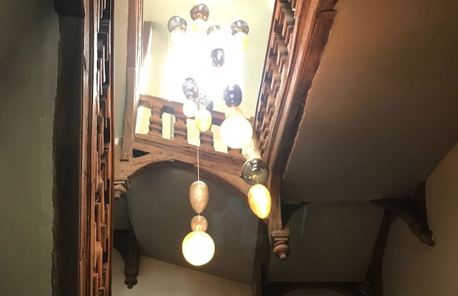 Perlépampille - Foto 5