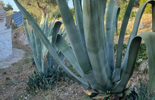 Dimora Casanoja - Foto 31