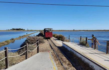 Pedras D'el Rei - Relax Estúdio - Foto 12