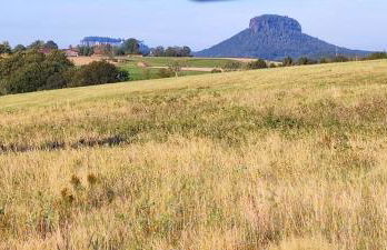 Vielstubenhaus - Ferienwohnung Marie - Photo 27