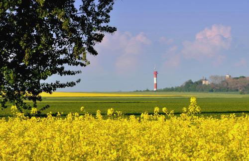 Küstenblick Marienleuchte - Foto 24