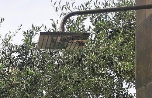 Chill out ground floor apartm +private garden+WIFI - Foto 9