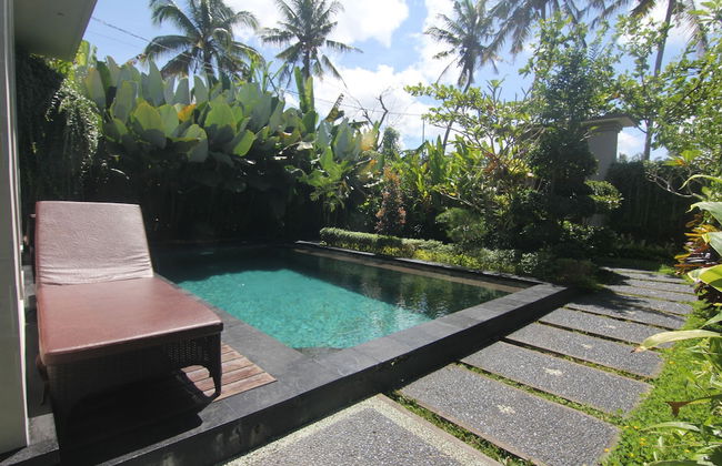 Ubud Paradise Villa - Photo 60