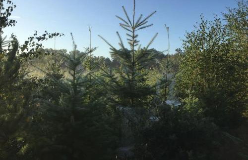 Nightingale Lodge - Adults Only - Foto 12