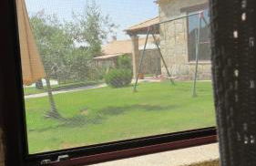 Quinta da Ribeira - Foto 36