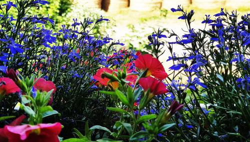 ⁂⁂ GITE LES HERABLES [CLEDICIHOME] Gîte de charme // JACCUZI // SALLE DE JEUX ⁂⁂ - Foto 2