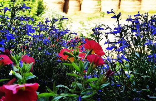 ⁂⁂ GITE LES HERABLES [CLEDICIHOME] Gîte de charme // JACCUZI // SALLE DE JEUX ⁂⁂ - Foto 2