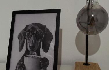 Burro&Salvia - Foto 17