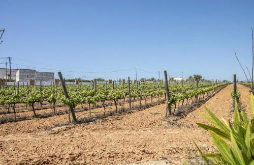 Quinta Dionysus - Foto 10