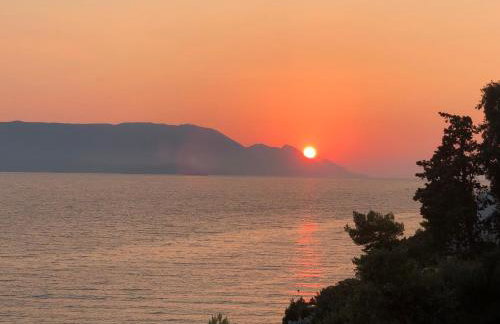 Fig Tree Apartment - Foto 39