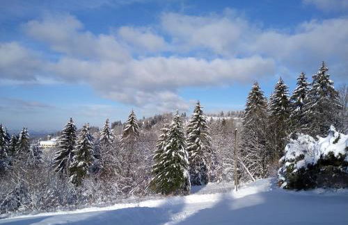 Chalet neuf avec jacuzzi privé, vue imprenable sur Massif des Vosges - Foto 28