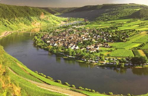 Dolcevita - Photo 61