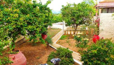 Village house with a nice garden - Foto 5, Garden, Garden view