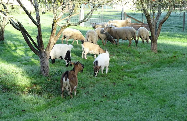 Les Gîtes de Petrocoriis - Foto 70