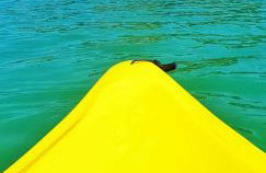 Casa panorama vista lago Turano - Foto 63