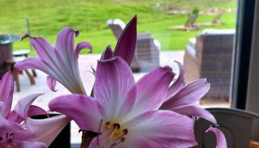 Quinta de São José - Foto 4