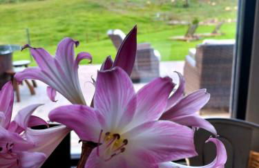 Quinta de São José - Foto 4